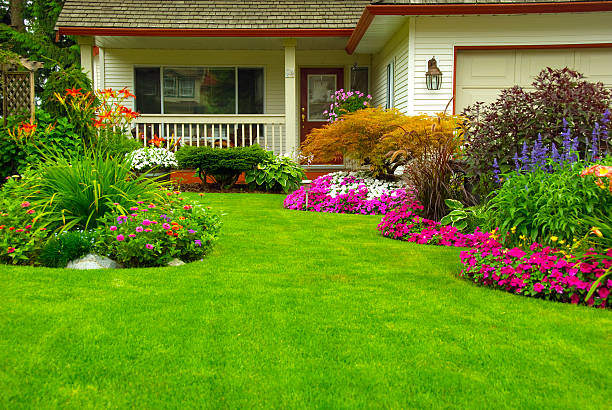 What Are The Best Flowers For Bungalow Gardens?