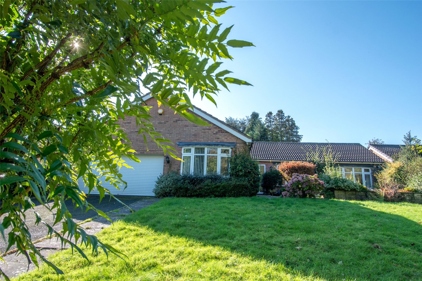 A house surrounded by a spacious lawn and several trees