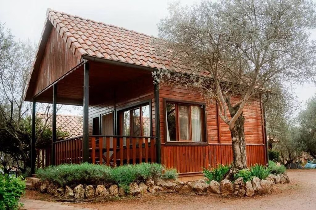 A small wooden house with a porch surrounded by a lush garden