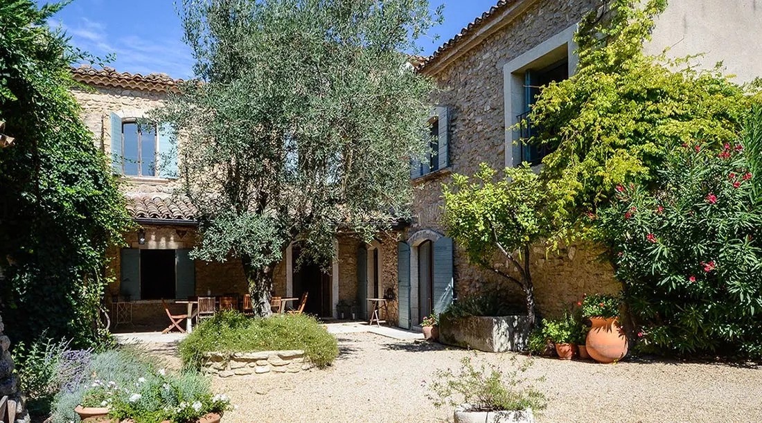 A serene courtyard featuring various plants and trees
